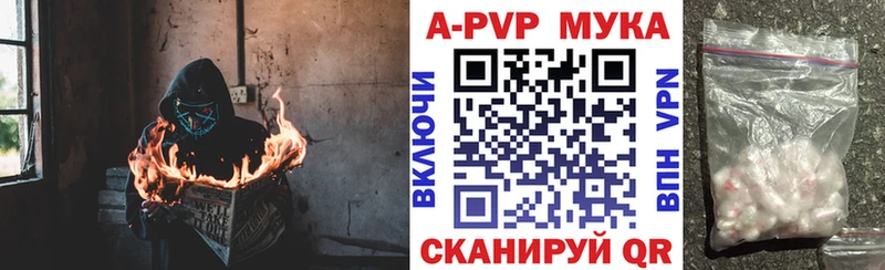 OMG вход  где можно купить   Олонец  Альфа ПВП СК 