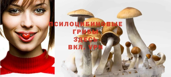 первитин Алексин