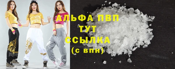 молекула духа Алексеевка